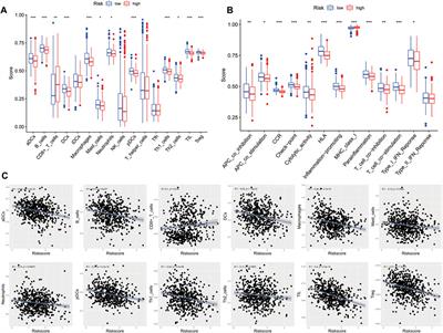 Comprehensive analysis of prognosis of cuproptosis-related oxidative stress genes in multiple myeloma